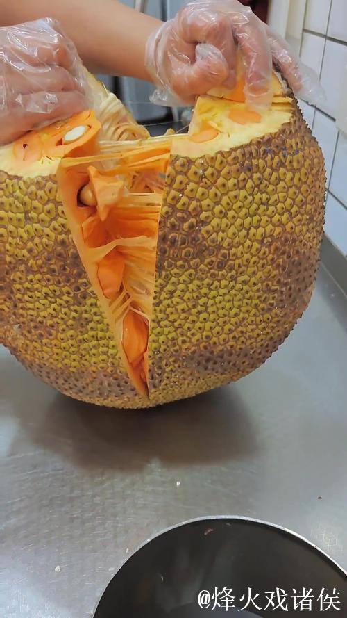 畅享菠萝蜜视频精彩视频在线观看体验