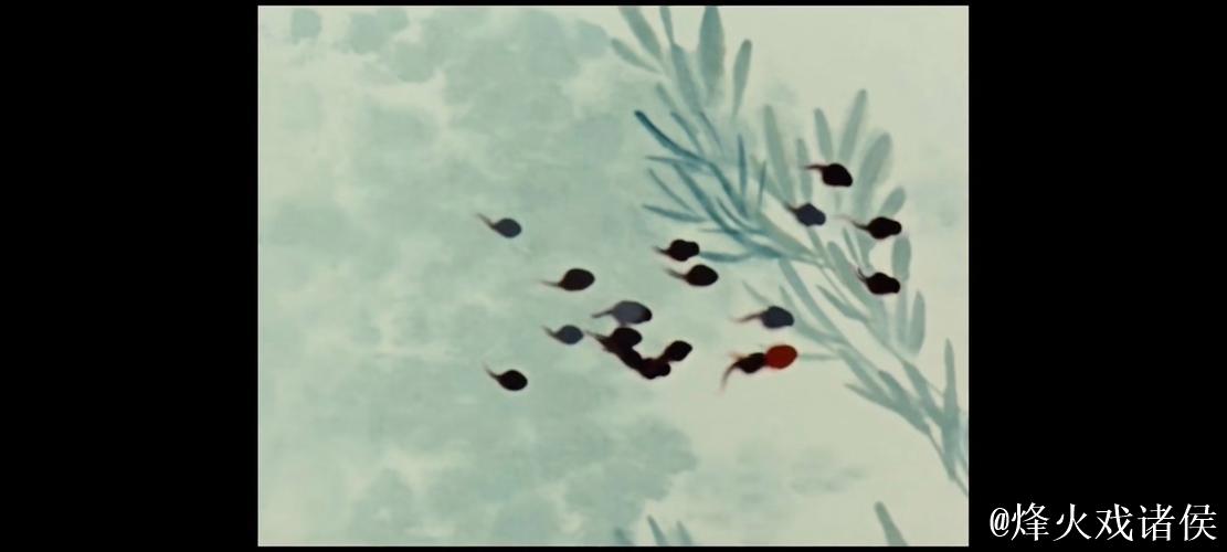 蝌蚪视频窝在线播放观看